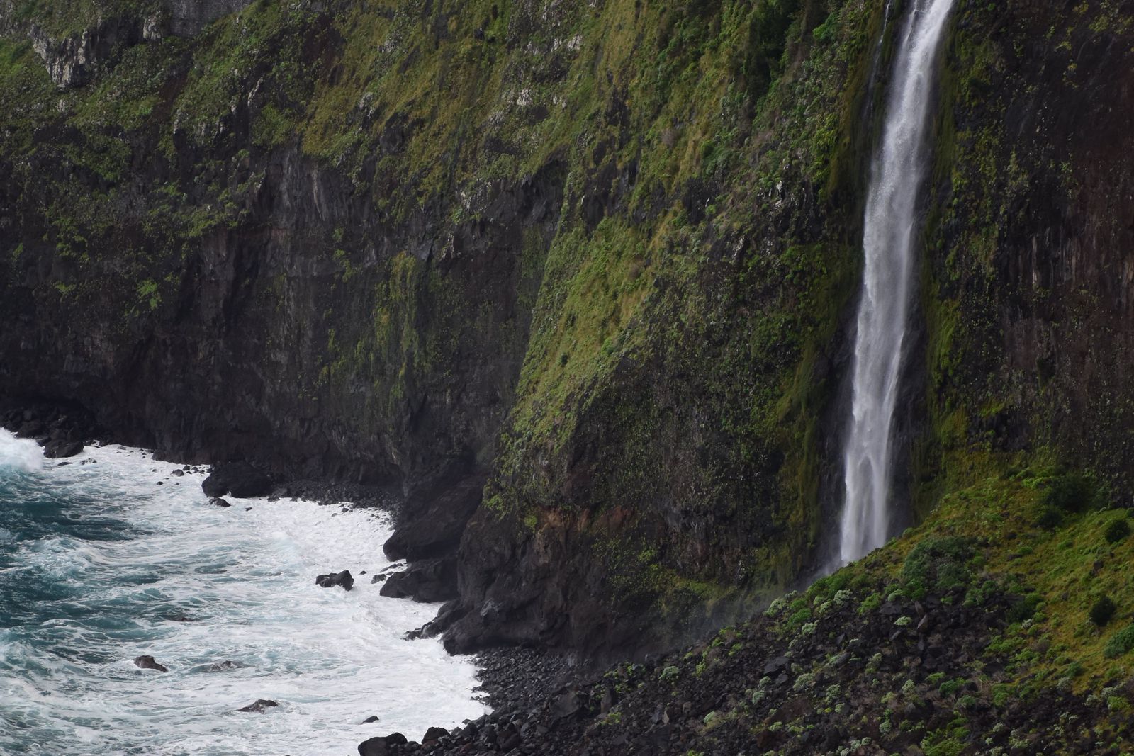 Azores Whale & Volcano Escape