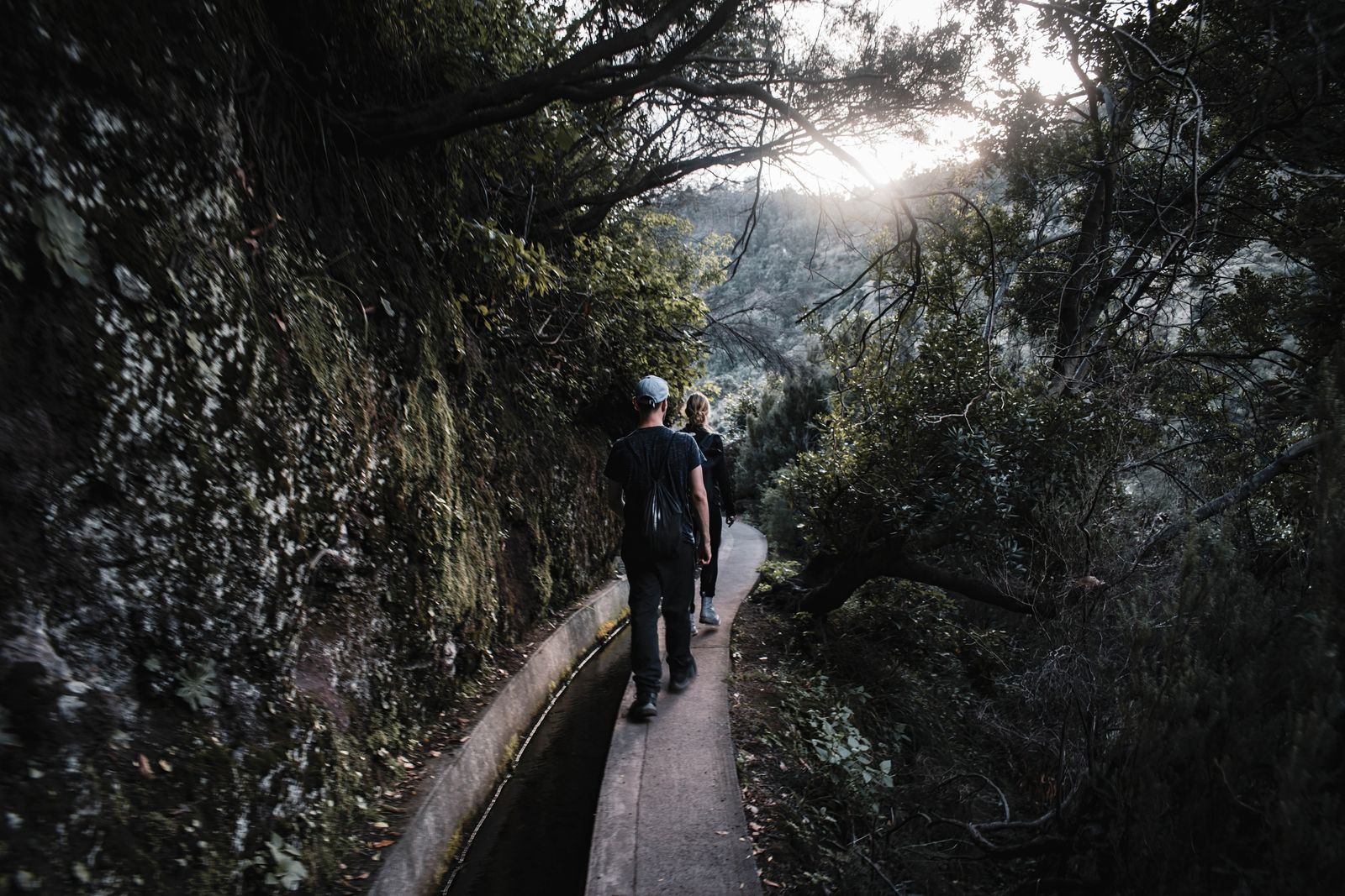 Media 2 from Madeira Peaks & Levada Adventure