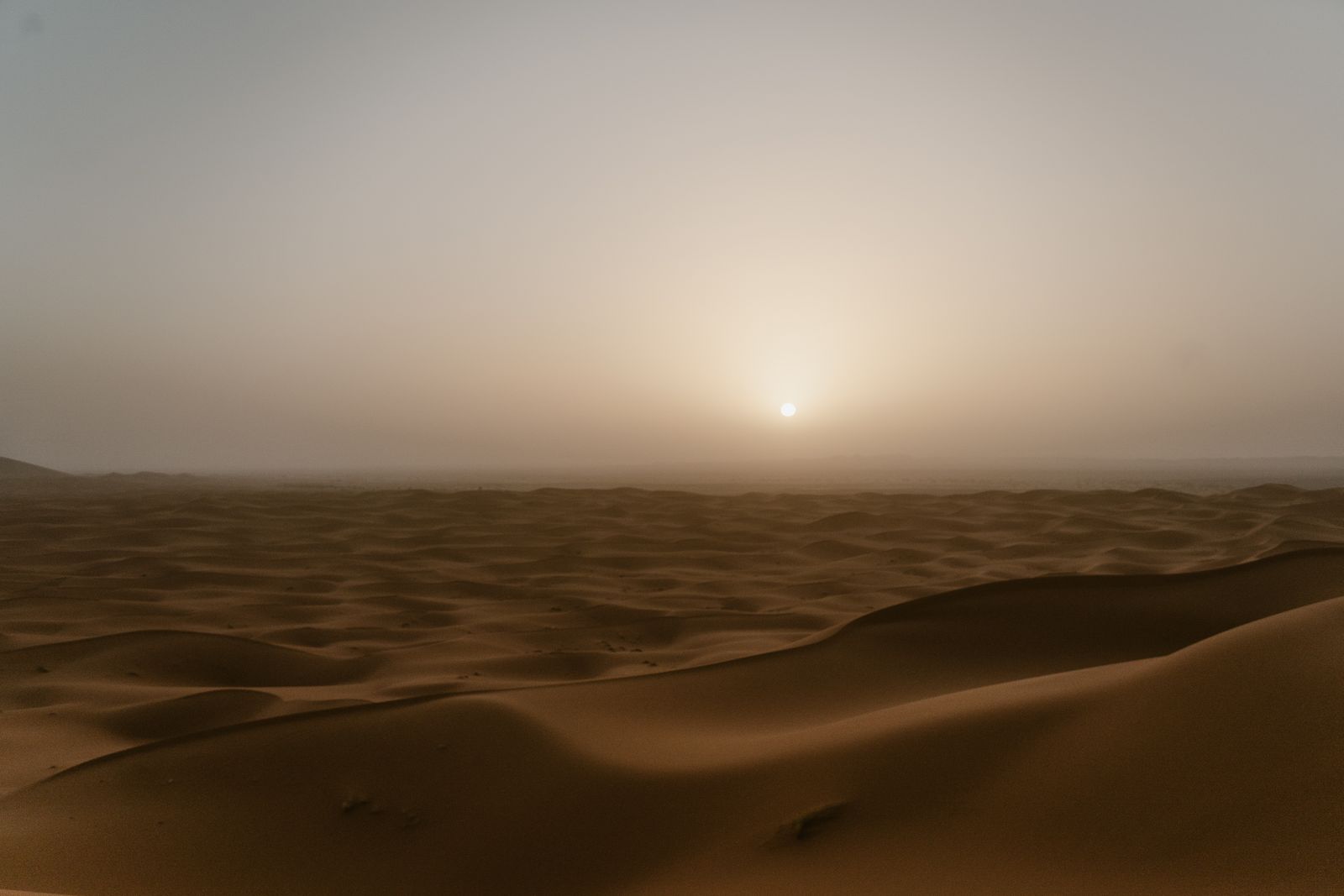 Marrakesh & Atlas Day Escape
